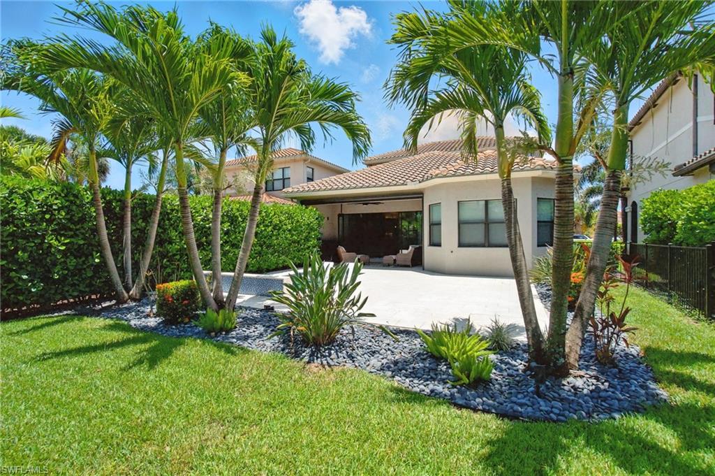 4119 Zelkova CT