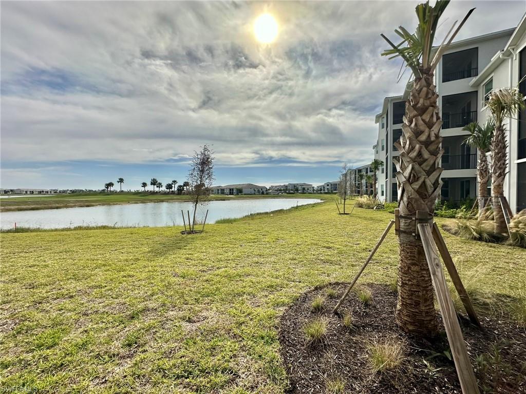43989 Boardwalk loop # 2018