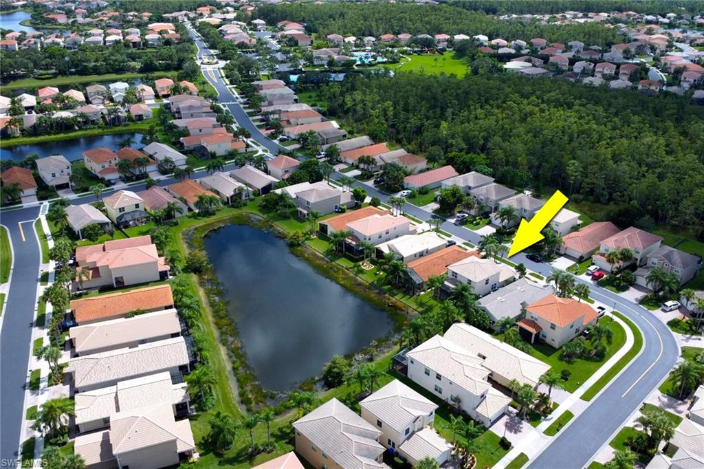 11077 Yellow Poplar DR