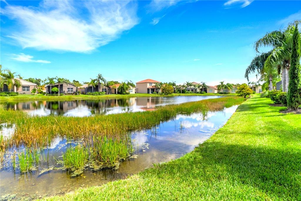 11077 Yellow Poplar DR