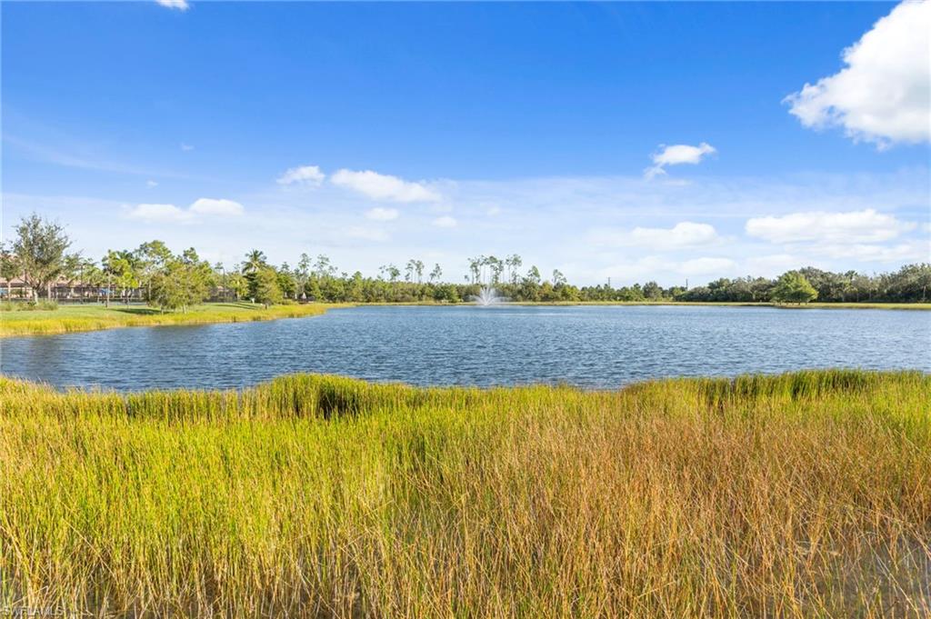 13550 Villa Di Preserve LN