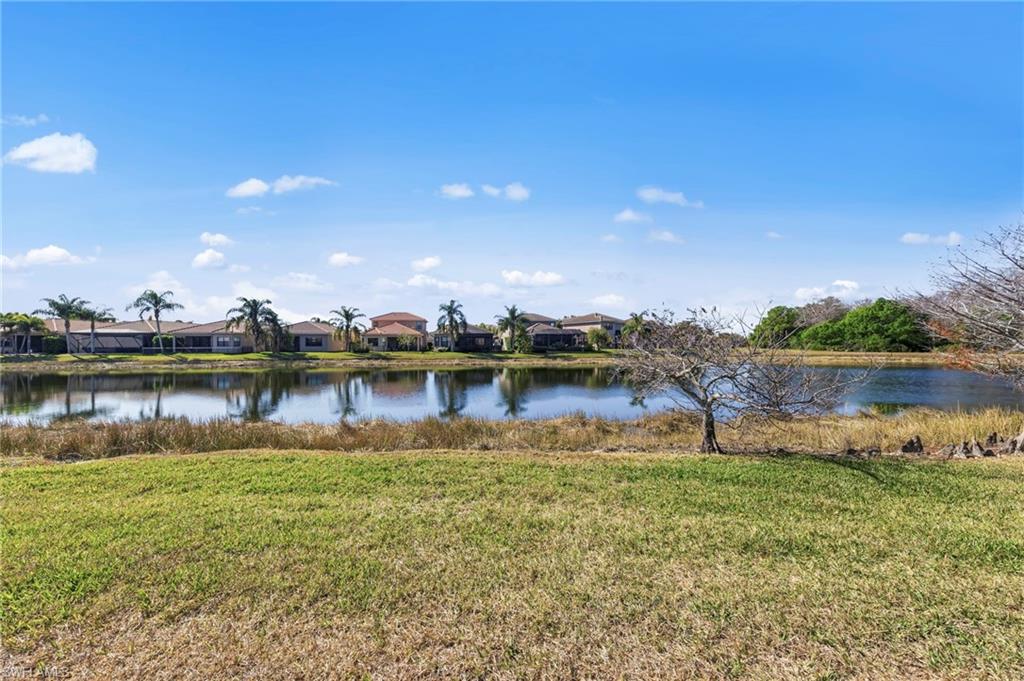 10392 Spruce Pine CT