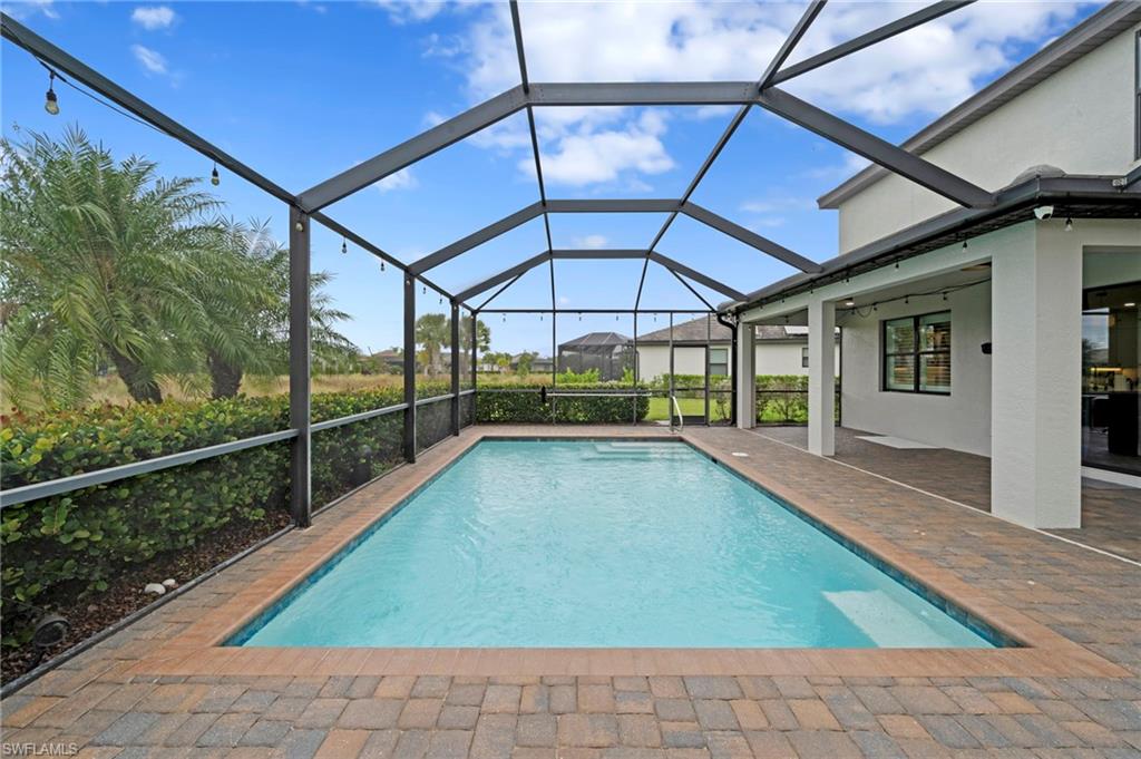 19222 Zephyr Lily CT