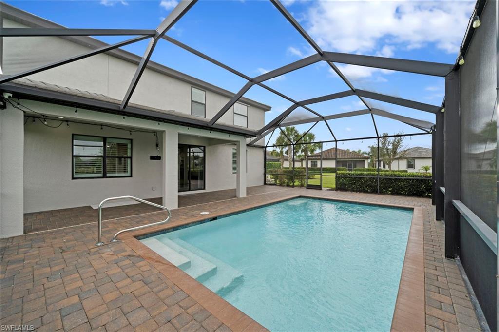 19222 Zephyr Lily CT