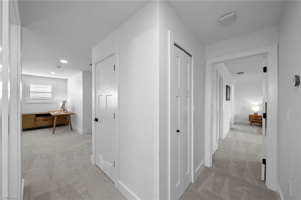 19222 Zephyr Lily CT