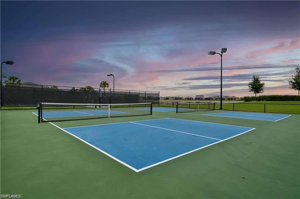 19222 Zephyr Lily CT