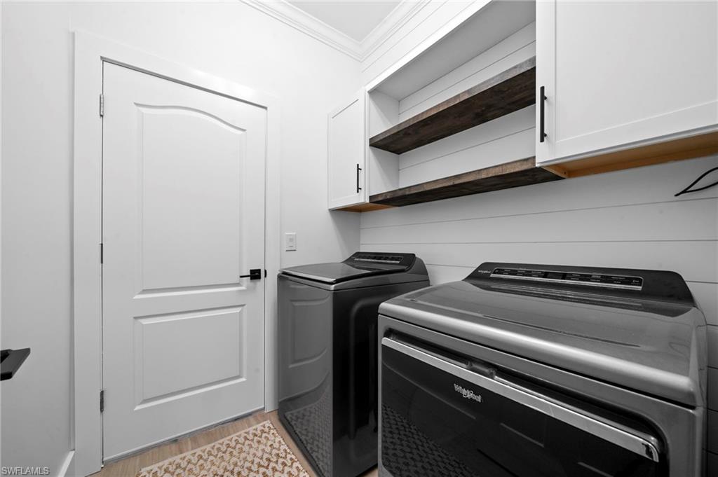 19222 Zephyr Lily CT