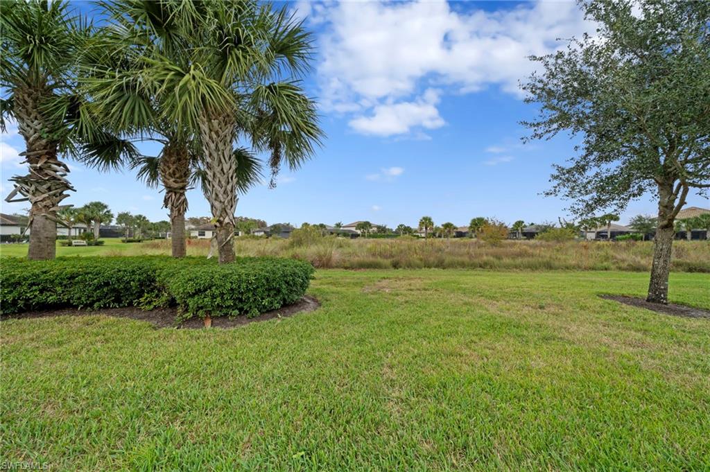 19222 Zephyr Lily CT