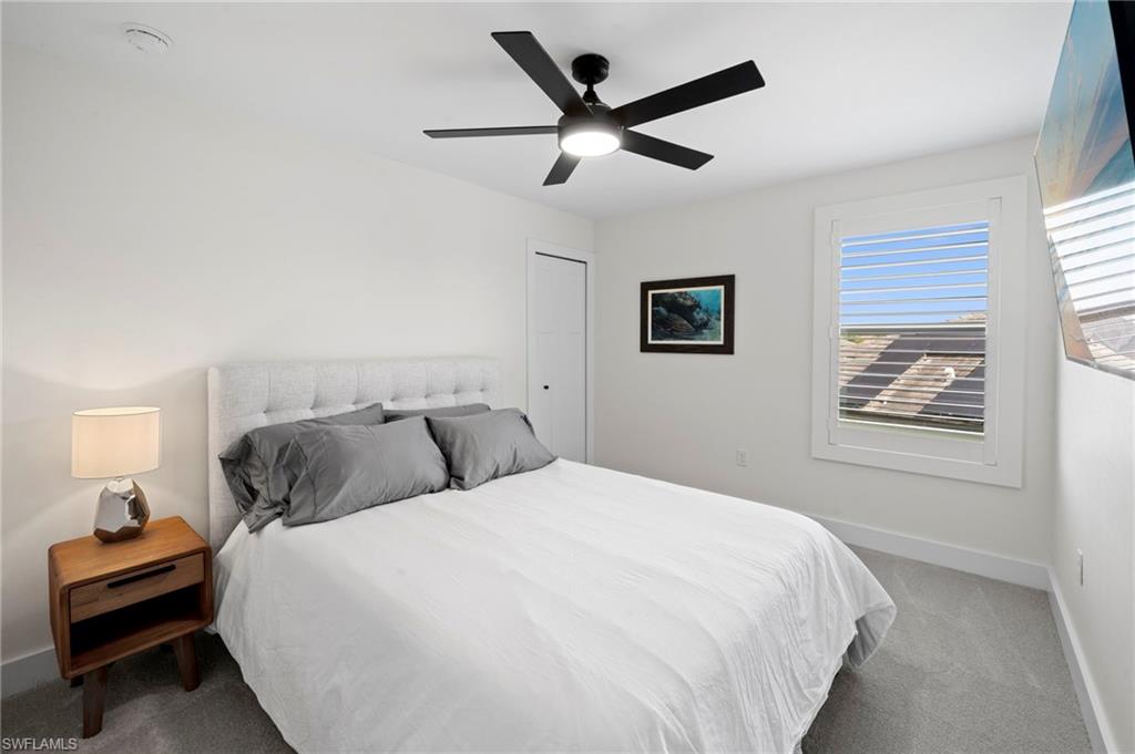 19222 Zephyr Lily CT