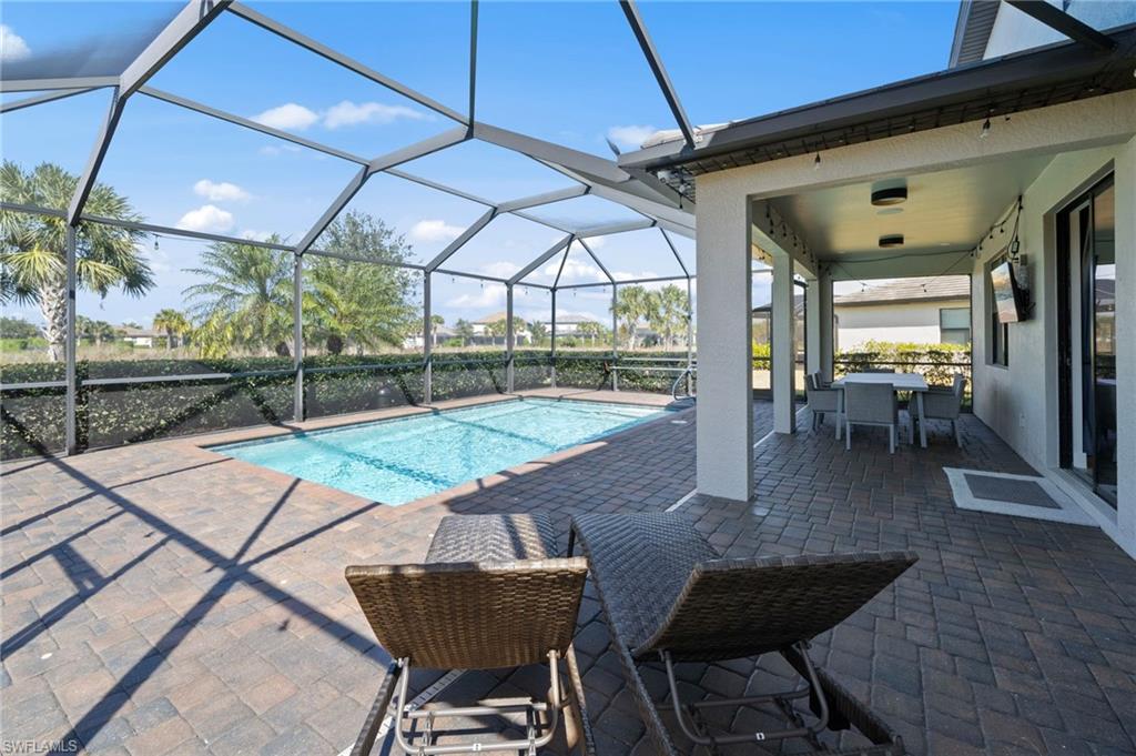 19222 Zephyr Lily CT