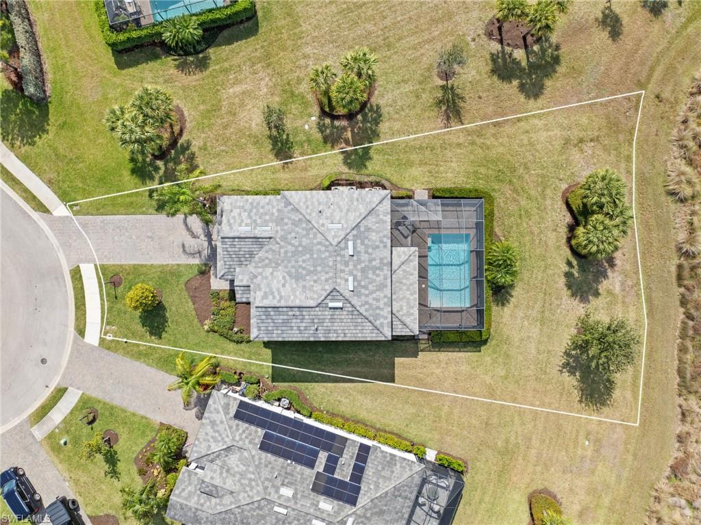 19222 Zephyr Lily CT