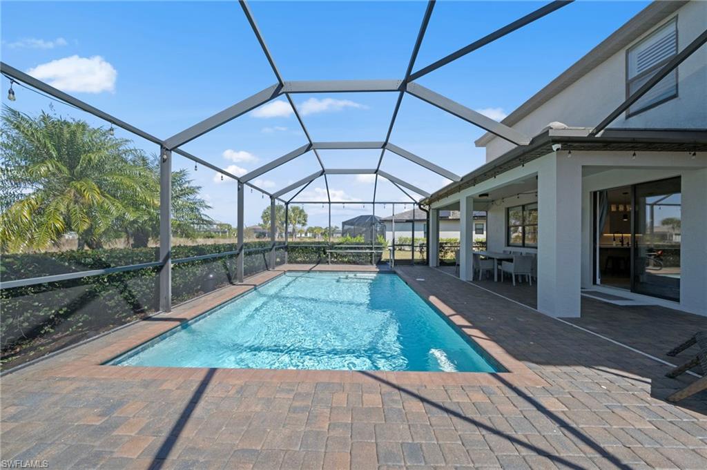 19222 Zephyr Lily CT