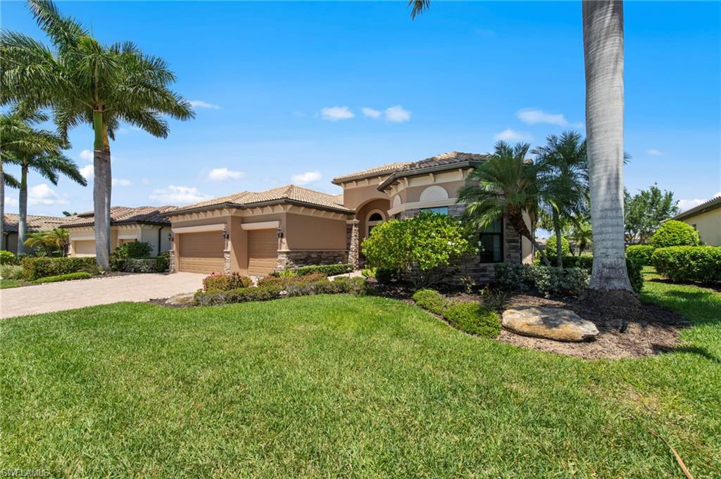 13500 Brown Bear RUN