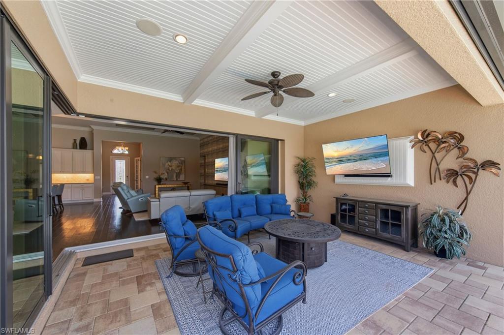 13500 Brown Bear RUN