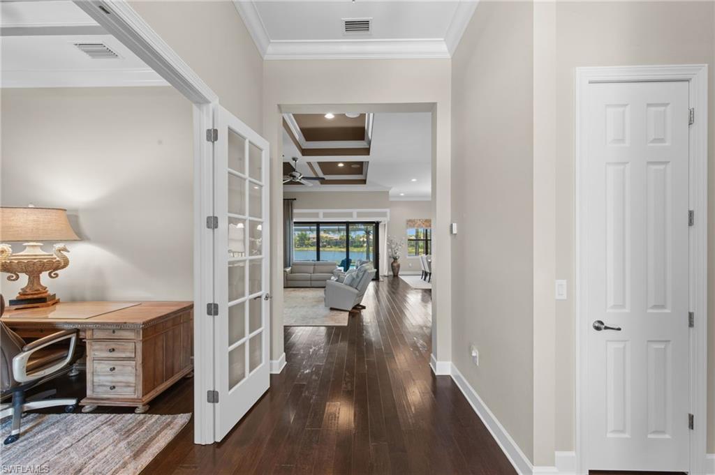 13500 Brown Bear RUN