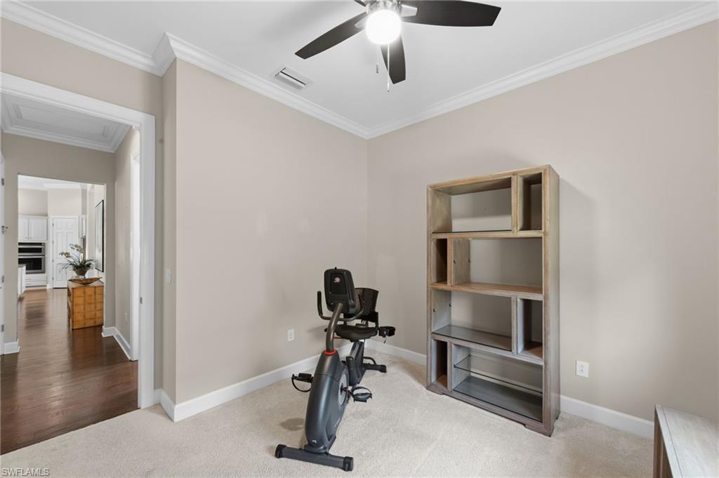 13500 Brown Bear RUN