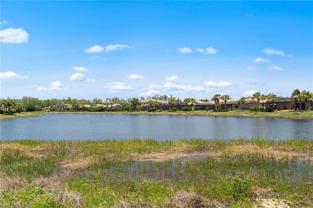 13500 Brown Bear RUN