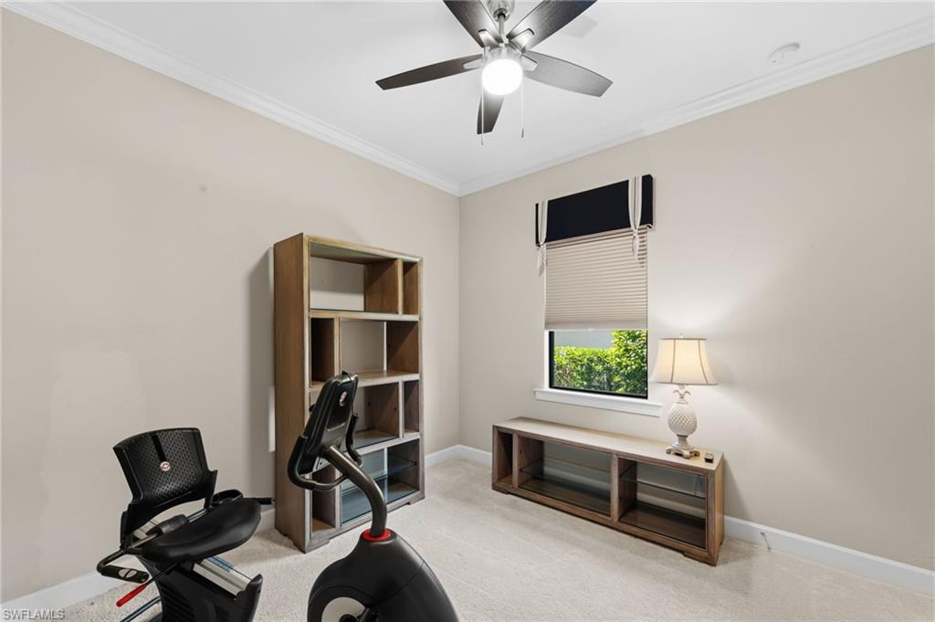 13500 Brown Bear RUN