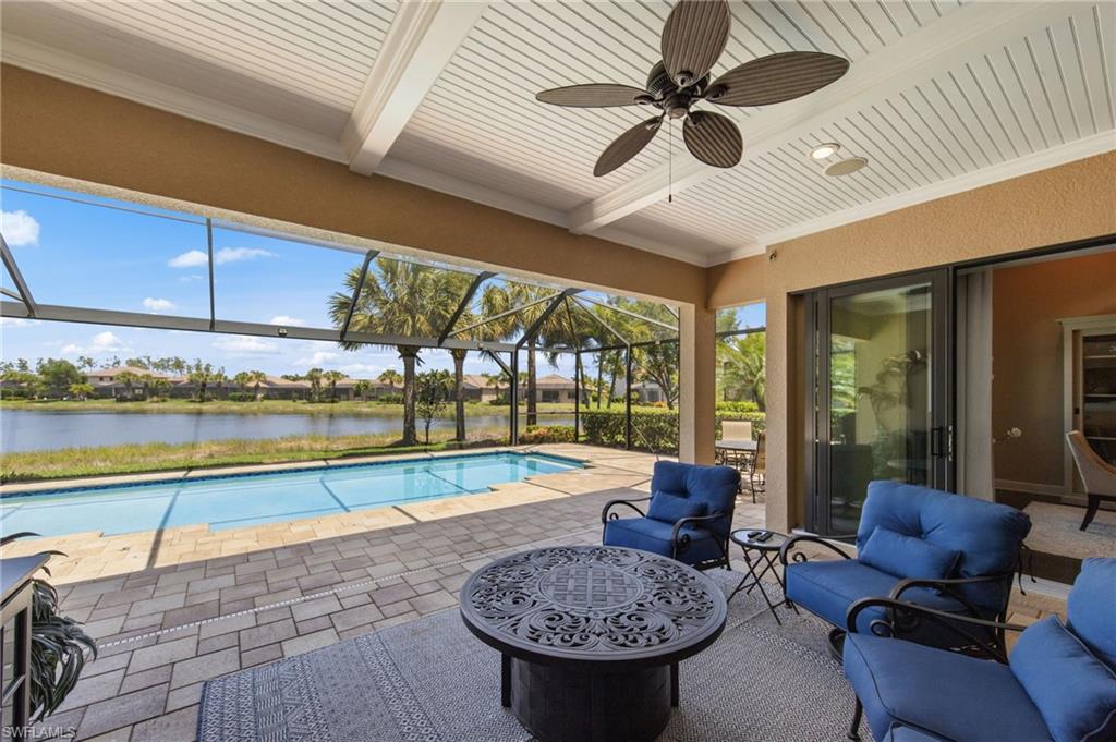 13500 Brown Bear RUN