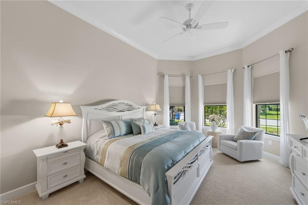 13500 Brown Bear RUN