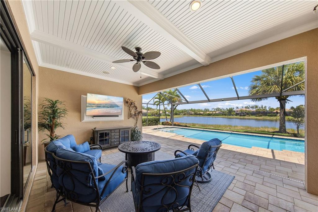 13500 Brown Bear RUN