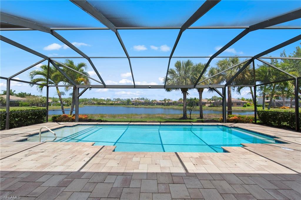 13500 Brown Bear RUN