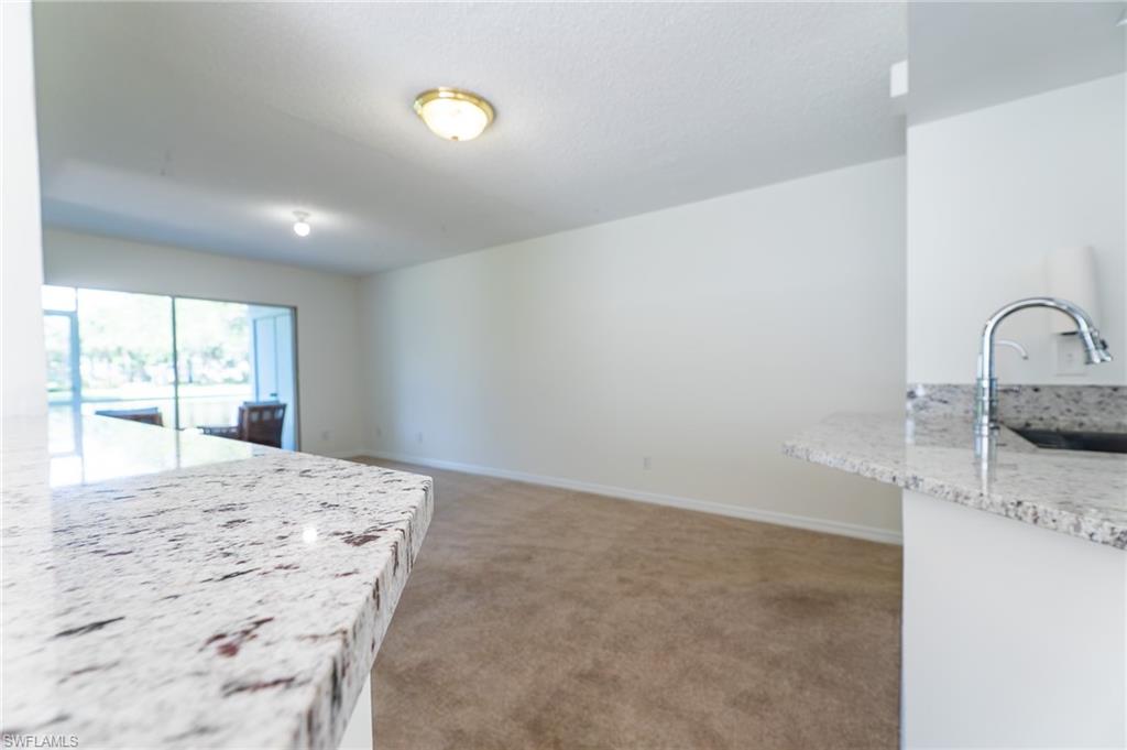 117 Wading Bird CIR A101