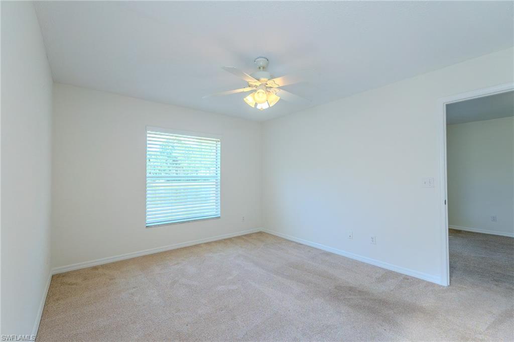 117 Wading Bird CIR A101