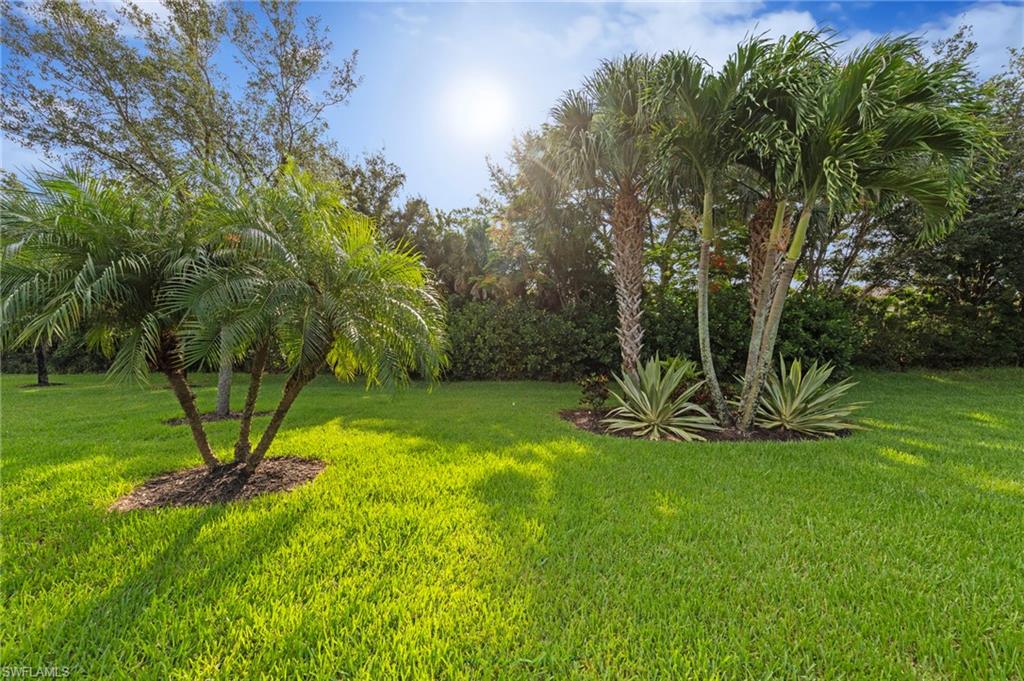 20247 Cypress Shadows BLVD