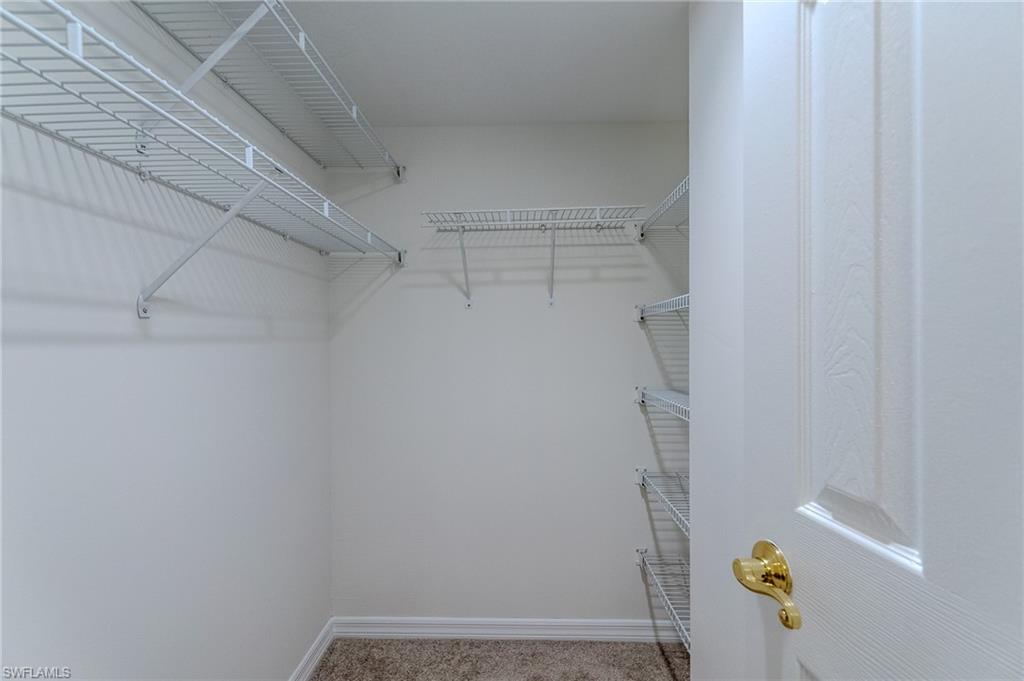 117 Wading Bird CIR 101