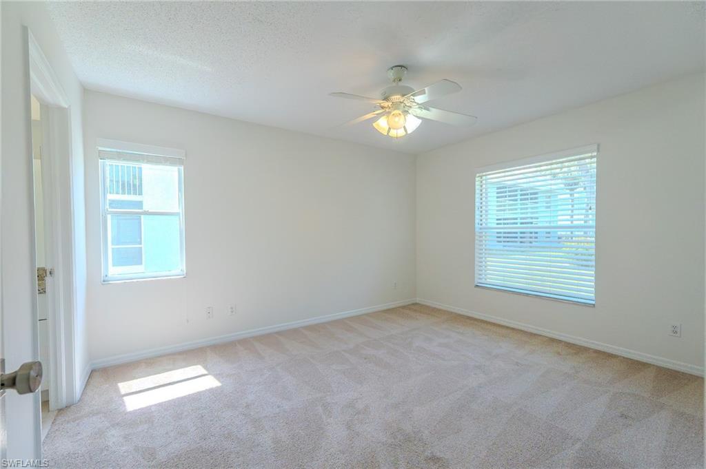 117 Wading Bird CIR 101