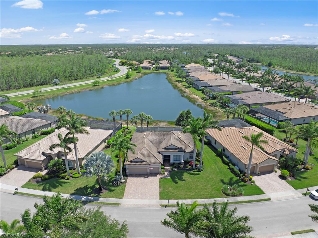 13501 Brown Bear RUN