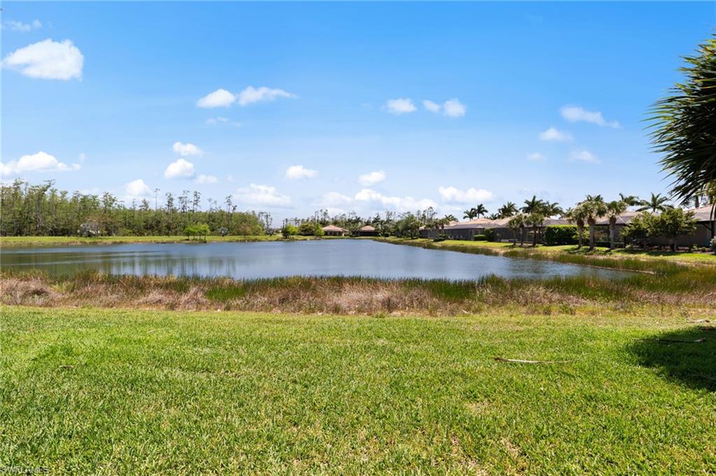 13501 Brown Bear RUN