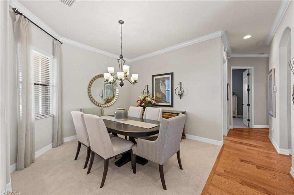 13501 Brown Bear RUN
