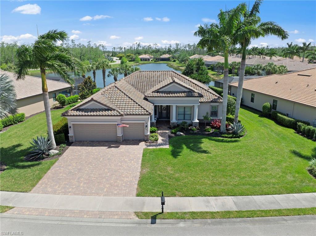 13501 Brown Bear RUN