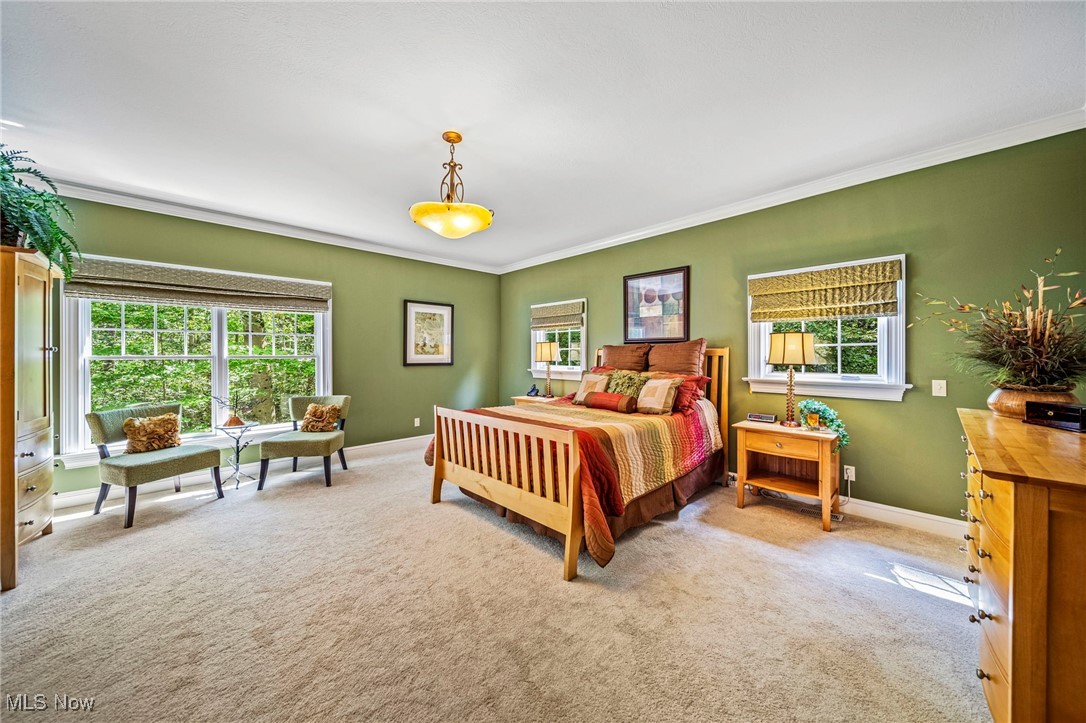11275 Beechnut Lane