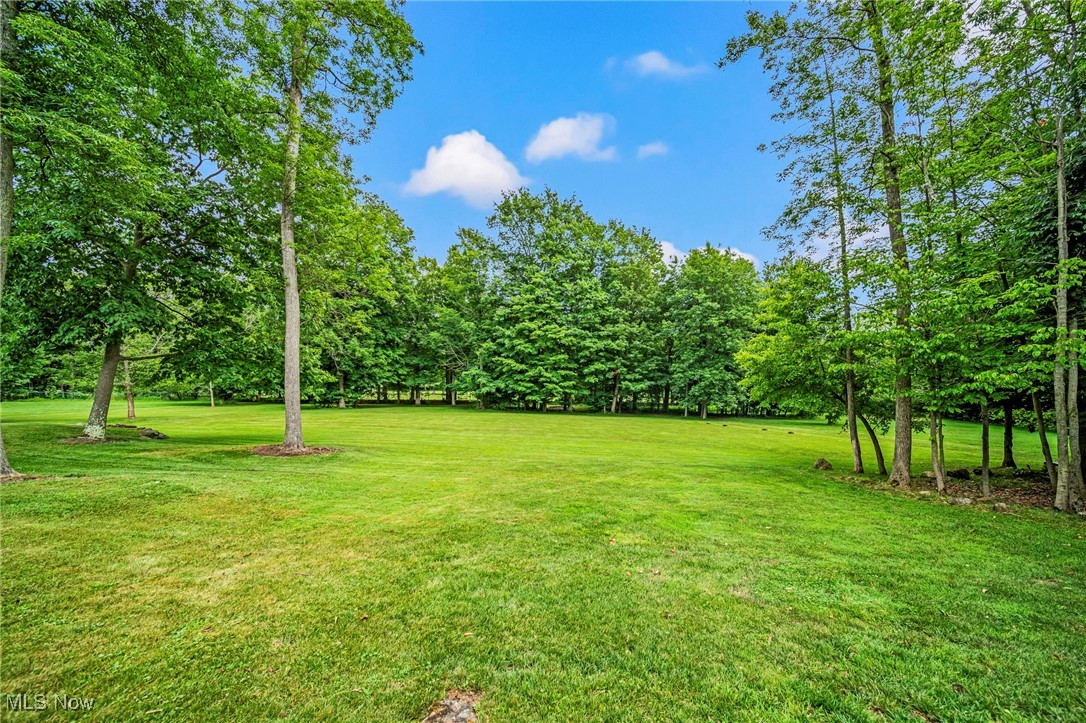 11275 Beechnut Lane