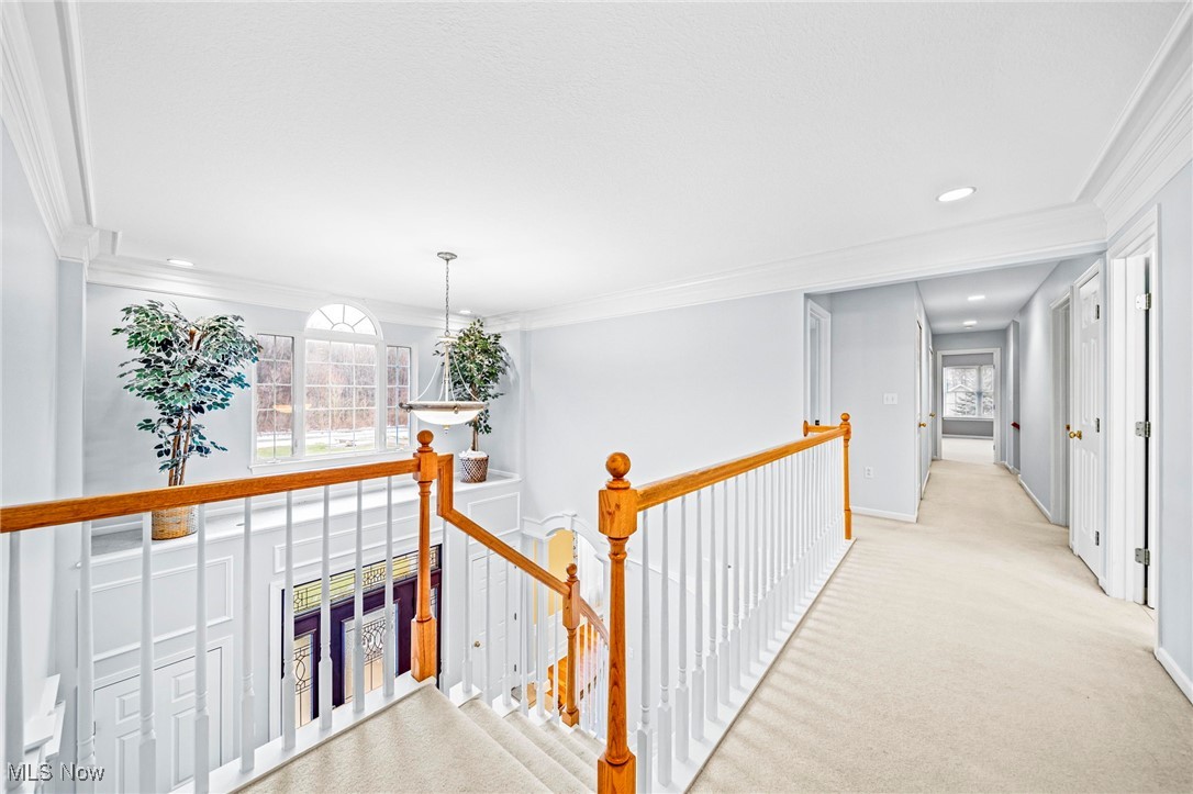 14020 Kimpton Trail