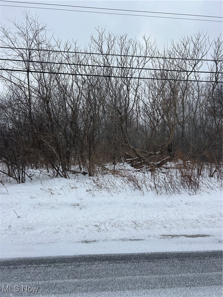 Snow-covered vacant lot bordered by leafless trees beside a road.