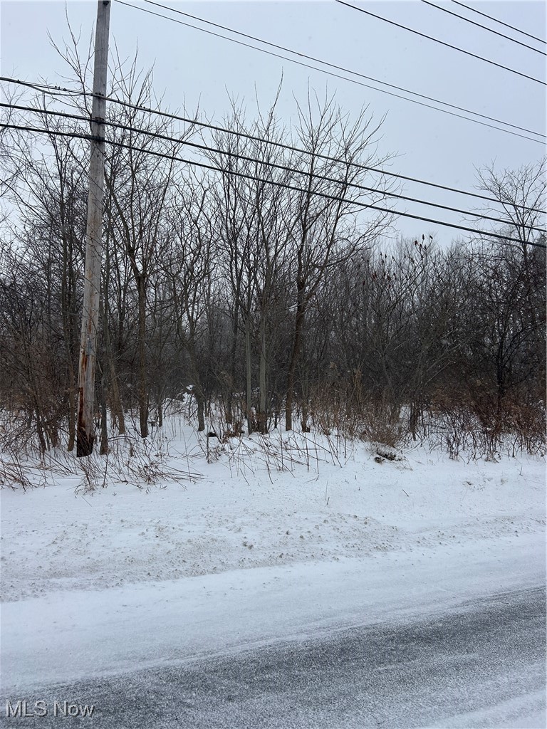 V/L Leroy Center Road