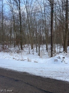Walter Main Road