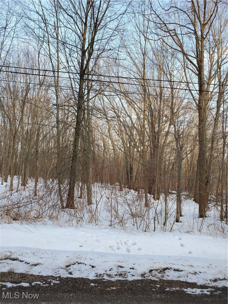 Walter Main Road