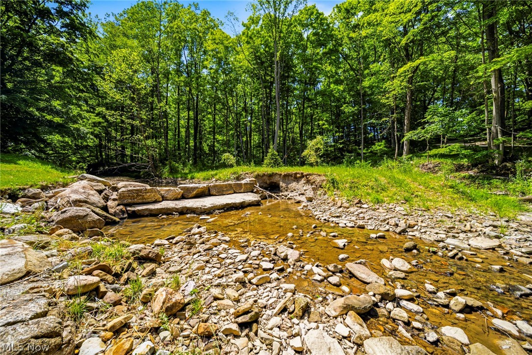 16721 Swine Creek Road