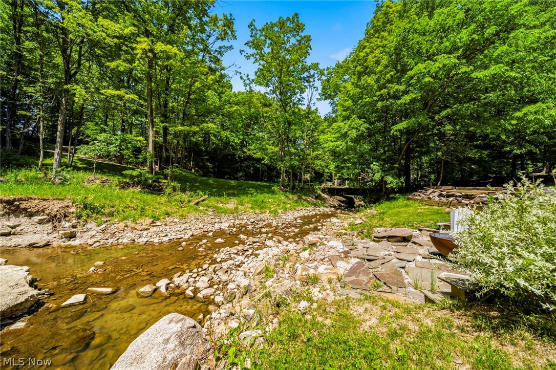 16721 Swine Creek Road