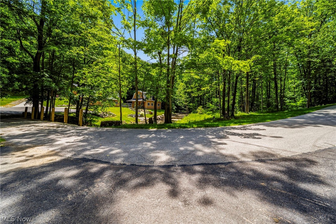 16721 Swine Creek Road