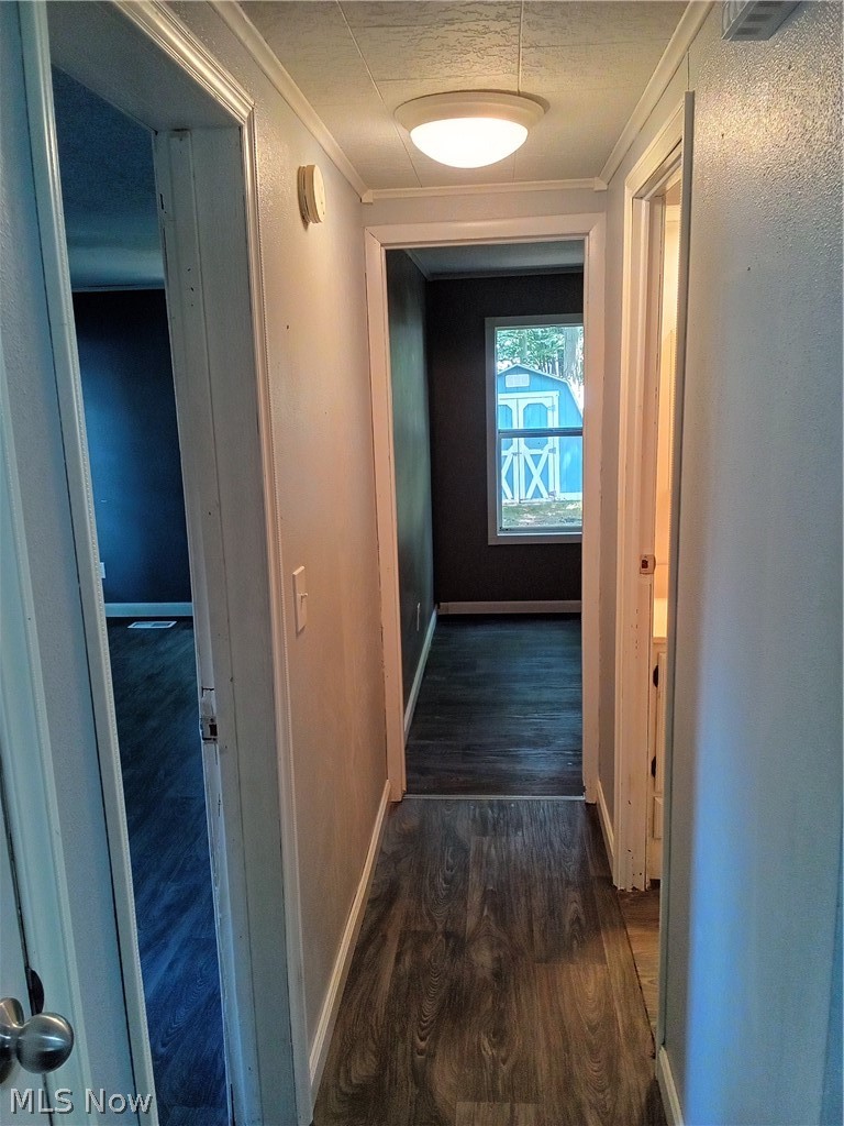 6 Cardinal Dr