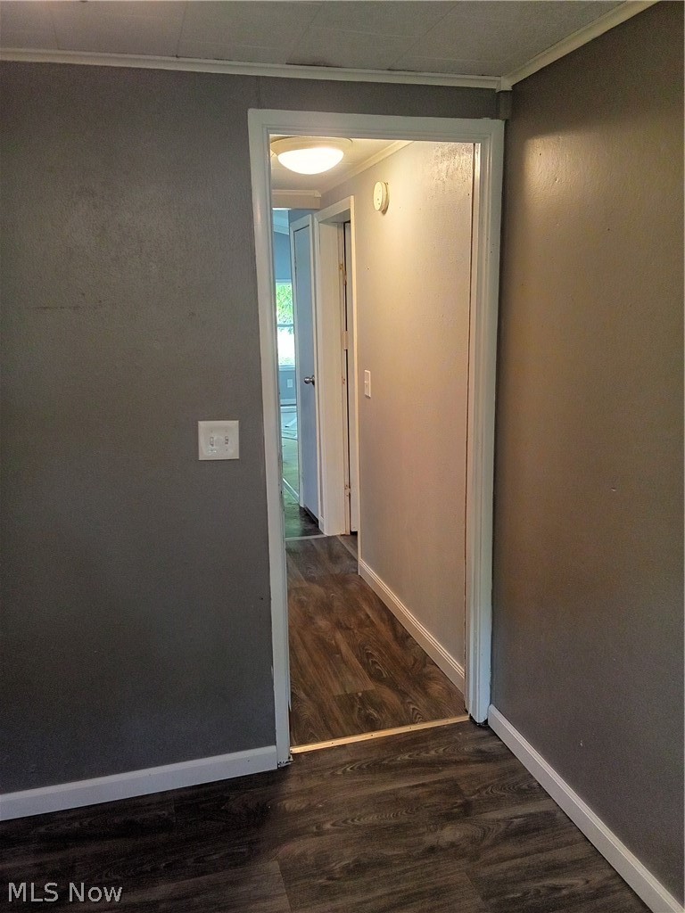 6 Cardinal Dr