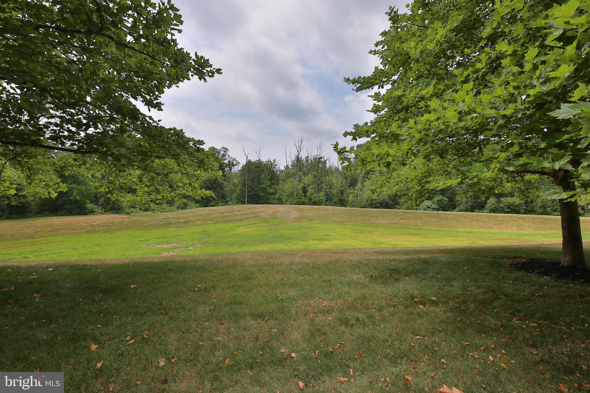 247 CREEKSIDE DRIVE