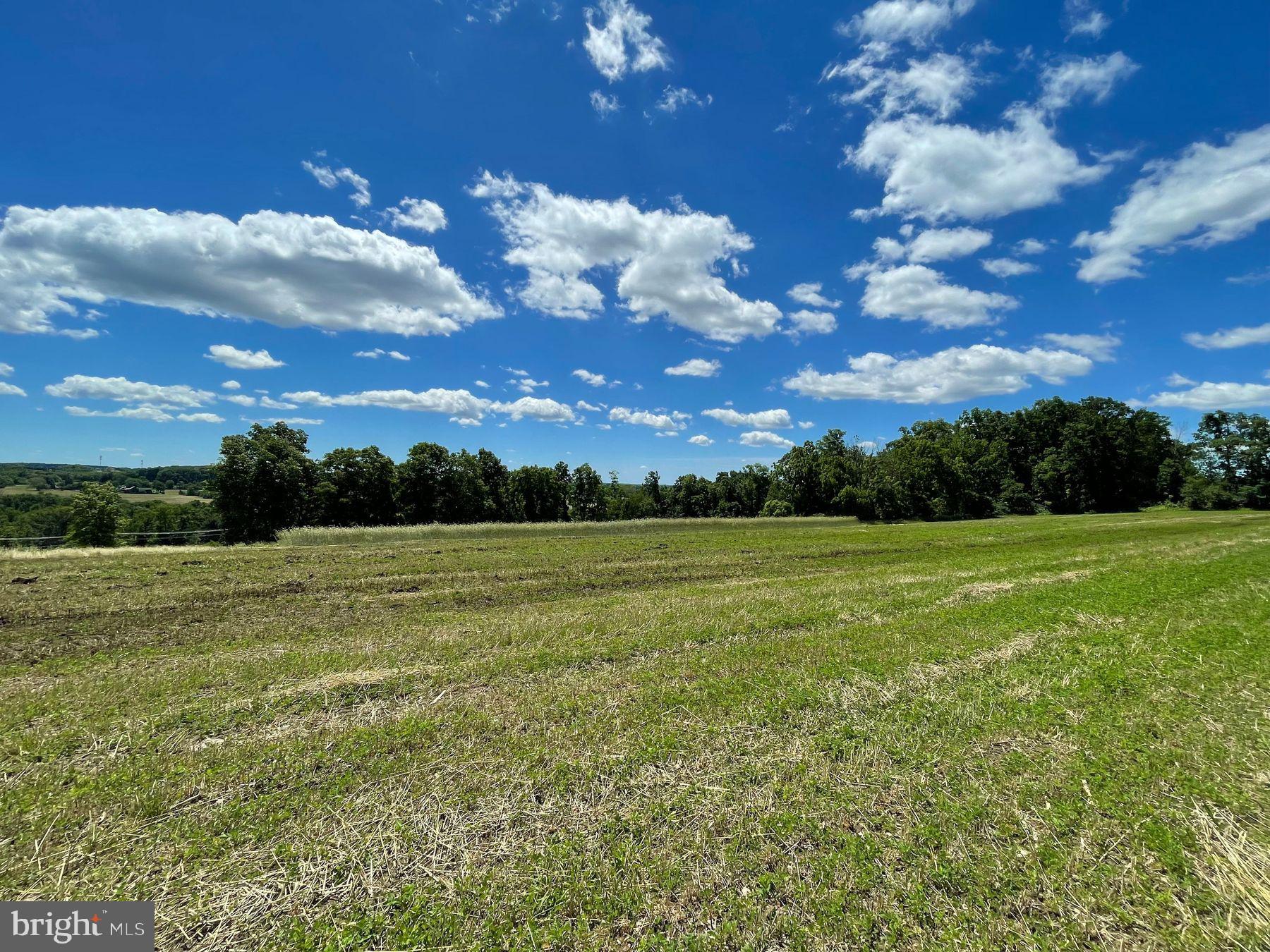 LOT 1 CURLY HILL ROAD