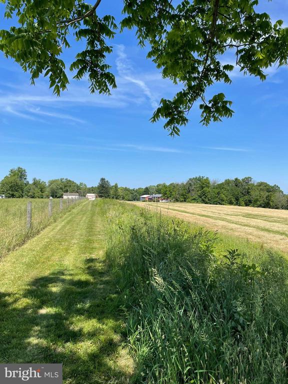 LOT 1 CURLY HILL ROAD